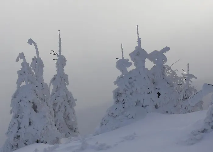 Apartament Dobranocka *